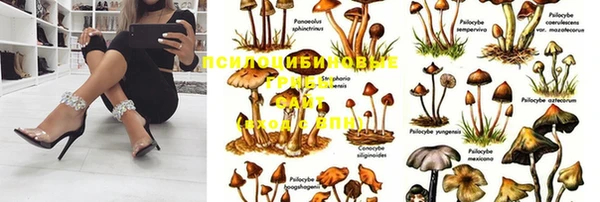 прущая мука Балахна