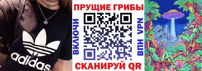 хочу   Унеча  МЕГА онион  Галлюциногенные грибы Magic Shrooms 